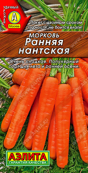 Морковь Ранняя Нантская - фото