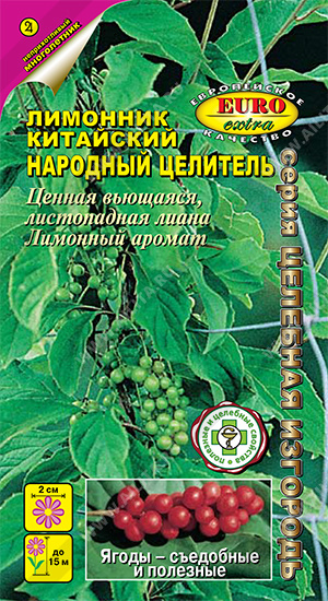 Лимонник Народный целитель - фото Лимонник Народный целитель - фото