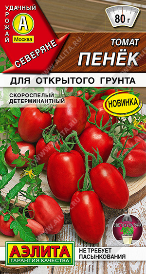 Томат Пенёк - фото