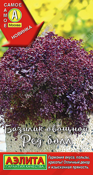 Базилик овощной Ред болл - фото