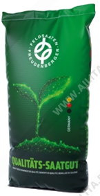 ���������� ����� _ 10 �� - ����