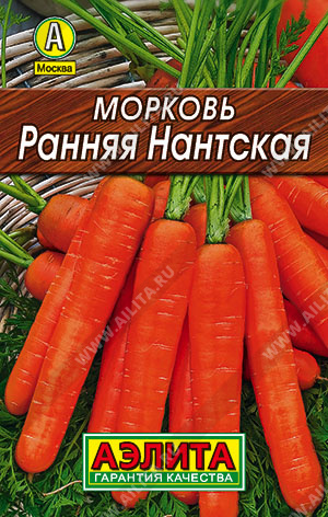 Морковь Ранняя Нантская - фото