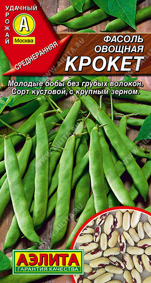 ������ ������� ������ - ����