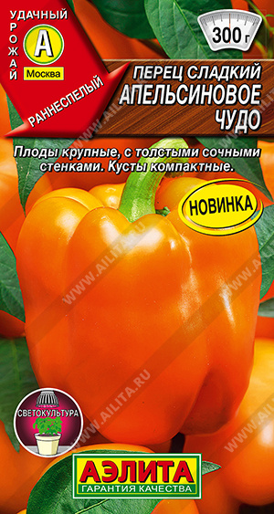 ����� ������� ������������ ���� - ����