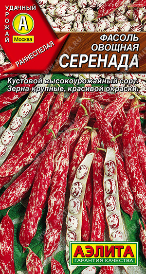 ������ ������� �������� - ����