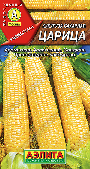 �������� �������� ������ - ����