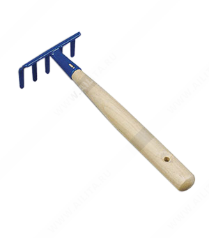 ������ ��������� _ - ����