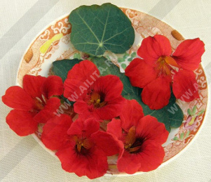 ��������� ���������� ����������� ����� ���������� (���������� ������) - ����