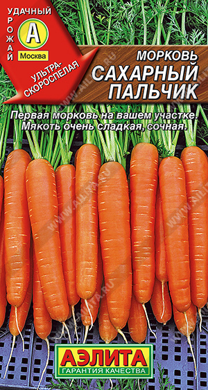 Морковь Сахарный пальчик - фото