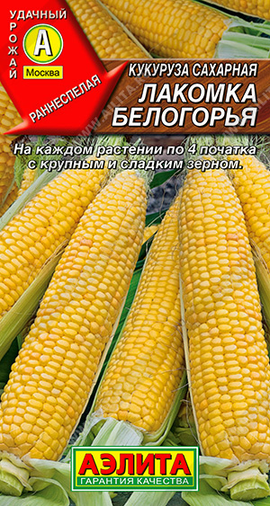 Кукуруза сахарная Лакомка Белогорья - фото