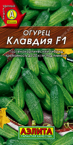   F1 - 
