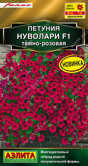   F1  - - 