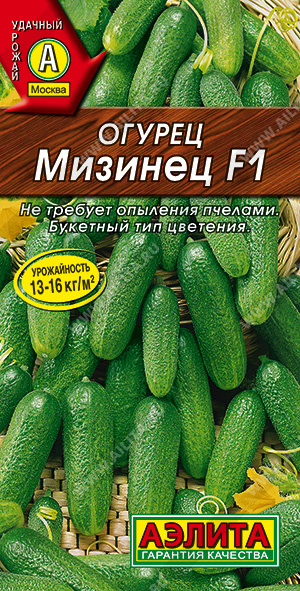   F1 - 