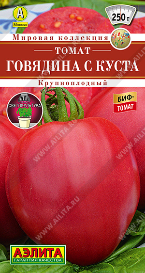Томат Говядина с куста - фото