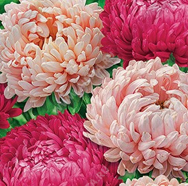 ����� ��������� ����������� �����, ����������� ����� ������ (������� � �����) - ����