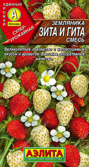 ��������� ���� � ����, ����� - ����