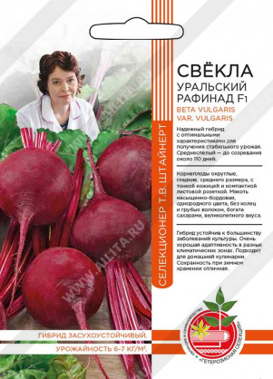 Свекла столовая Уральский рафинад F1 - фото Свекла столовая Уральский рафинад F1 - фото