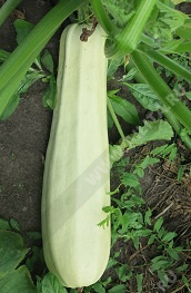     2 - 