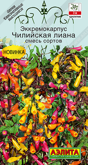 Эккремокарпус Чилийская лиана, смесь сортов - фото