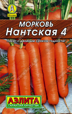 Морковь Нантская 4 - фото