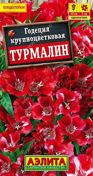 ������� �������� - ����