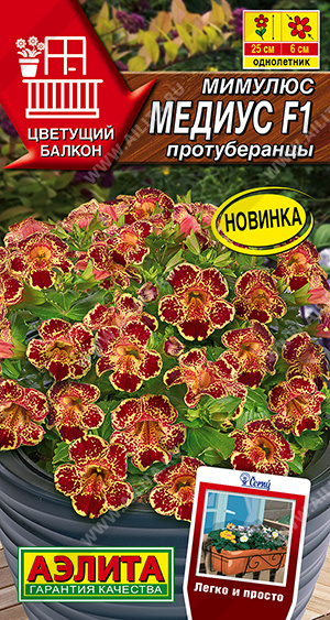   F1  - 