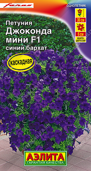    F1   - 
