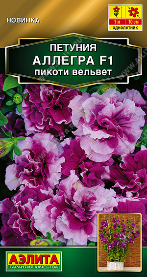 Петуния Аллегра F1 пикоти вельвет полумахровая - фото