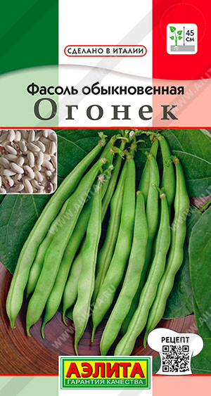 Фасоль обыкновенная Огонек - фото Фасоль обыкновенная Огонек - фото