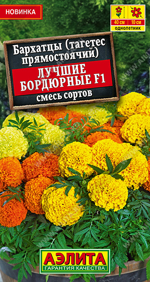    F1 ,   - 