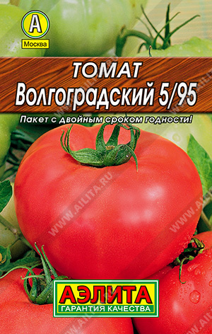   5/95 - 