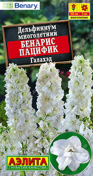 Дельфиниум Бенарис пацифик галахэд - фото