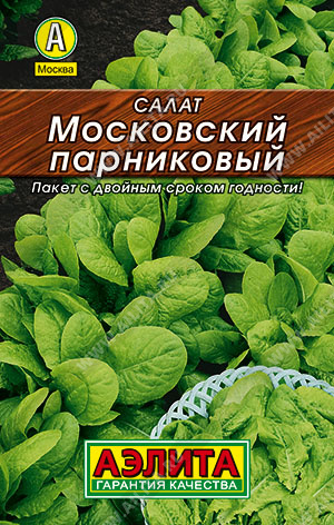 Салат Московский парниковый листовой - фото