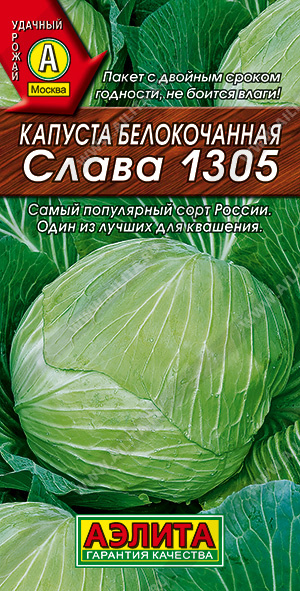 Капуста б/к Слава 1305 - фото