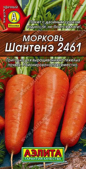   2461 - 