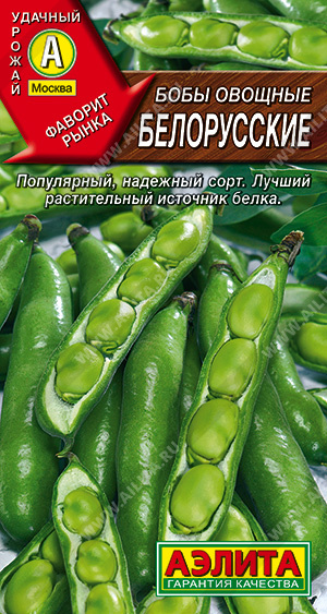 Бобы овощные Белорусские - фото