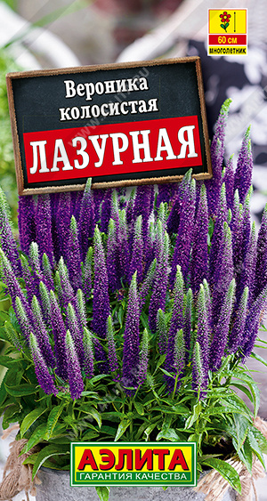 �������� �������� - ����