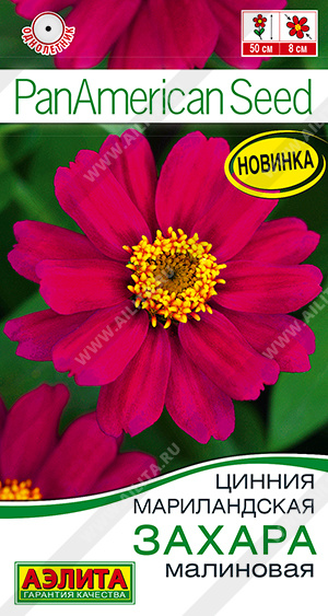 Цинния Захара малиновая - фото Цинния Захара малиновая - фото
