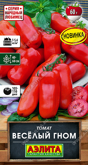 ����� ������ ���� - ����