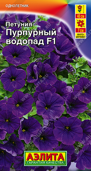   F1 - 
