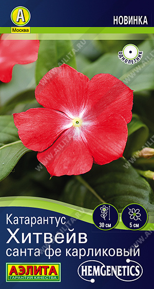 ���������� ������� ����� �� ���������� - ����