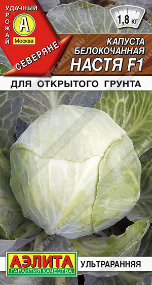  /  F1 - 