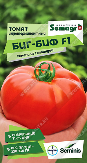    F1 - 