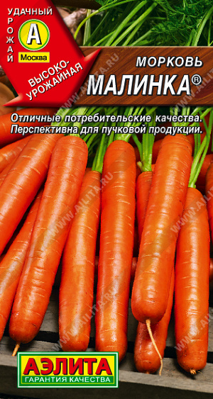 Морковь Малинка ® - фото