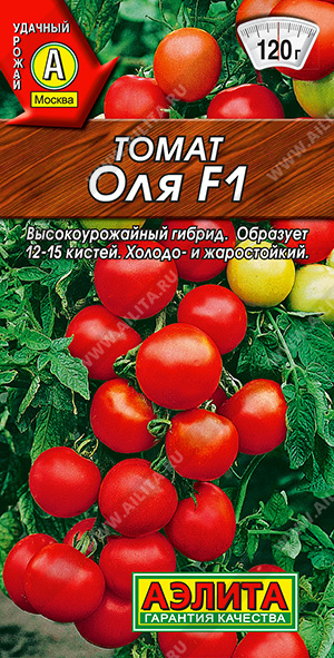   F1 - 