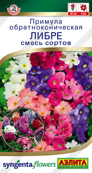 Примула Либре, смесь сортов - фото Примула Либре, смесь сортов - фото