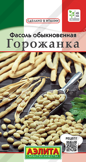 Фасоль обыкновенная Горожанка - фото Фасоль обыкновенная Горожанка - фото