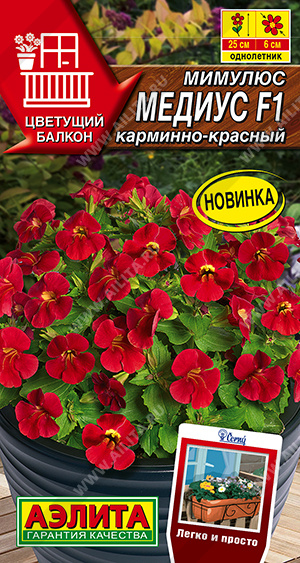 ������� ������ F1 ��������-������� - ����