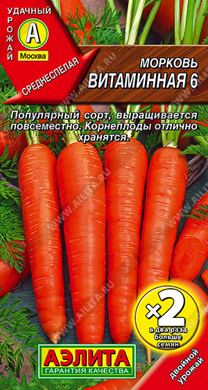 Морковь Витаминная 6  - фото