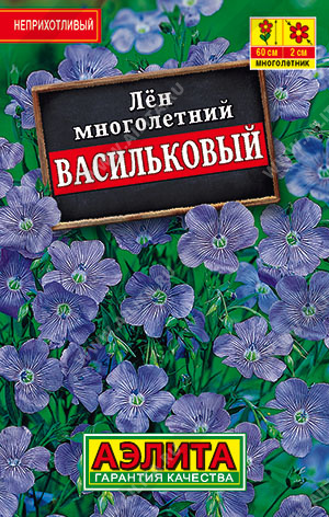 Лен многолетний Васильковый - фото